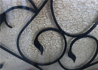 L'agone di vetro delle porte di sicurezza del ferro battuto ha riempito le porte esteriori a forma di dimensione a 22*64 pollici del ferro battuto
