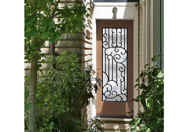 La porta di vetro del ferro battuto distintivo di personalizzazione inserisce la resistenza eccellente di clima